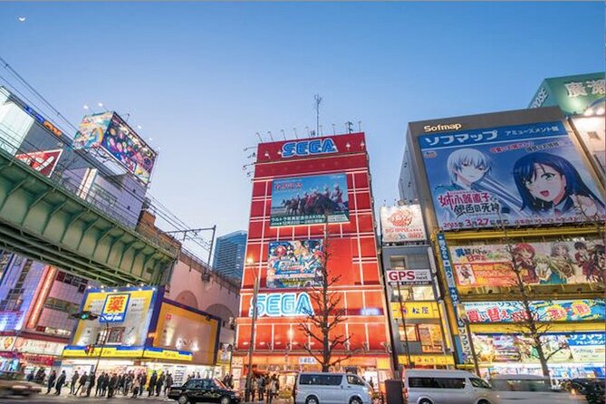 Private Akihabara Anime Guided Walking Tour - Reviews and Testimonials