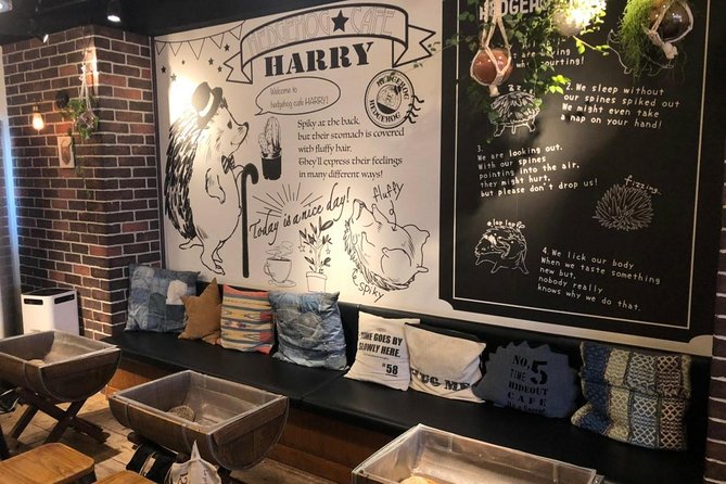 Admission to Hedgehog Cafe in Harajuku - Meeting Point and Conclusion Details