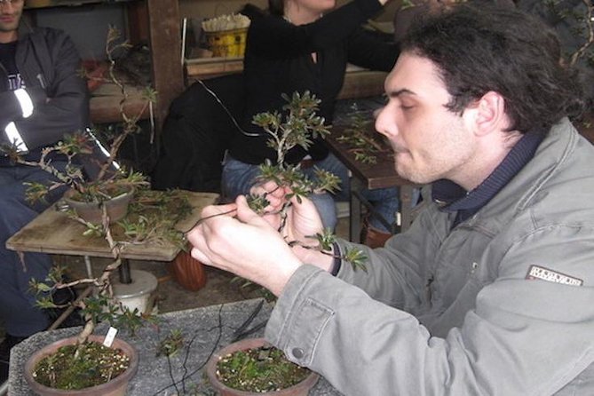 Make Your Own BONSAI With a Professional Artist in Tokyo - Cancellation Policy