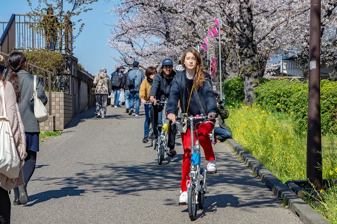 2.5 Hour-Guided Cycle Tour in the Central Tokyo - Exploring Tokyos Backstreets