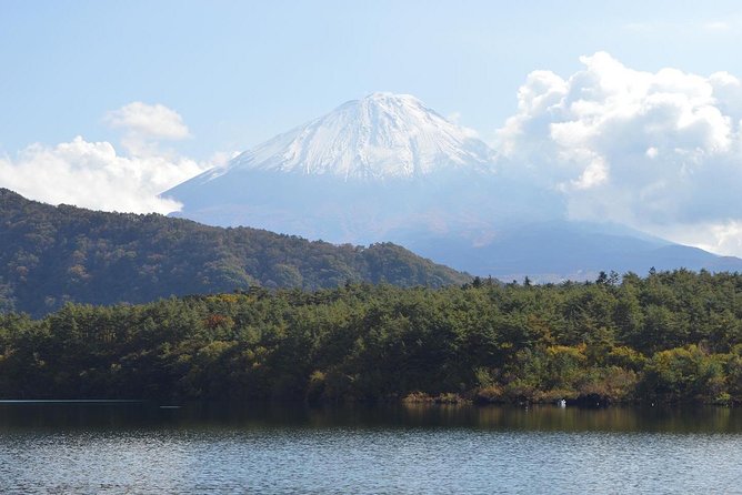 Fuji Kawaguchiko Hakone Private Car Tour - Inclusions