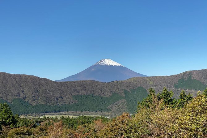 Fuji Kawaguchiko Hakone Private Car Tour - Conclusion