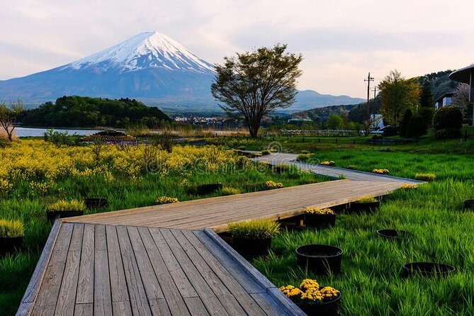 Mt. Fuji Private Tour With English Speaking Driver - Accessibility and Cancellation Policy
