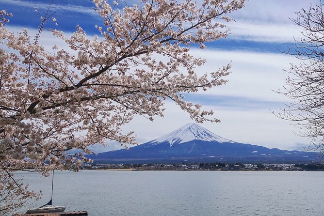 Mt. Fuji Private Tour With English Speaking Driver - Weather-Dependent Considerations