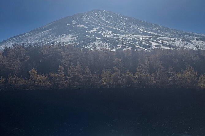 Mt. Fuji Private Tour With English Speaking Driver - Reviews and Recommendations
