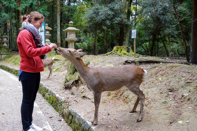 Highlights of Japan Tour: 10-day Small Group - Key Takeaways