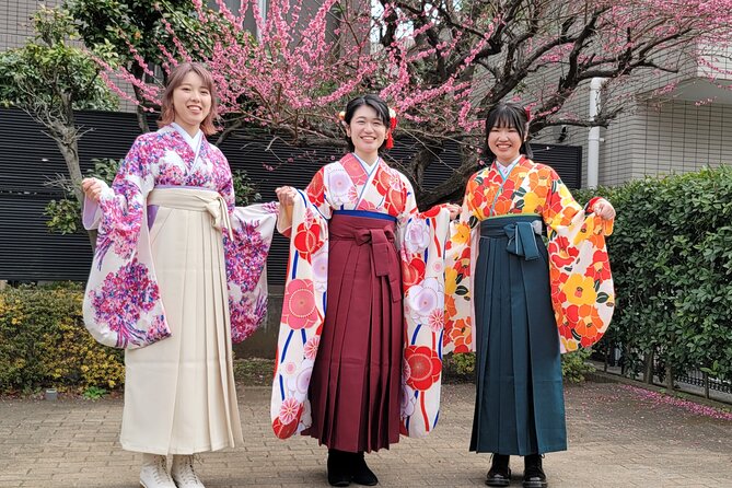 Kimono Tokyo Tour: Tailored to You ! - Weather