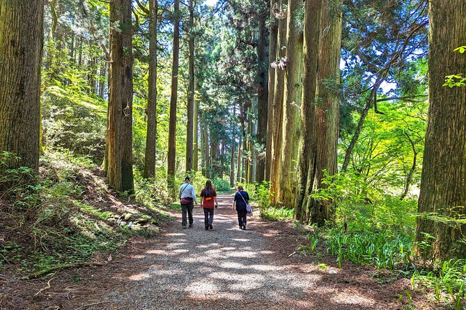 Private Hakone Tour - View of Mt. Fuji, Nature and Culture - Mt. Fuji Views