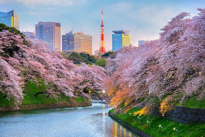 [Electric Bicycle Tour]: 6-Hour Travel Course by Electric Bicycle Asakusa, Ueno Park, Edo-Tokyo Museum, and Sky Tree. (There Is a Support Car.) - Price, Booking, and Guarantee