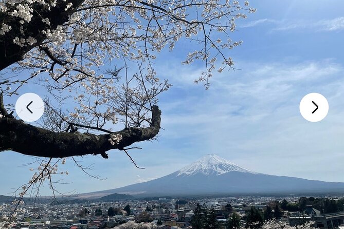 Mt. Fuji, Hakone Full-Day Private Tour With English Driver Guide - Frequently Asked Questions