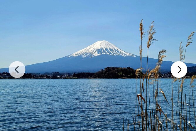 Mt. Fuji, Hakone Full-Day Private Tour With English Driver Guide - Additional Tour Information