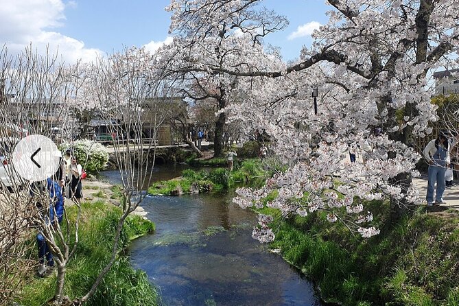 Mt. Fuji, Hakone Full-Day Private Tour With English Driver Guide - Transportation Details