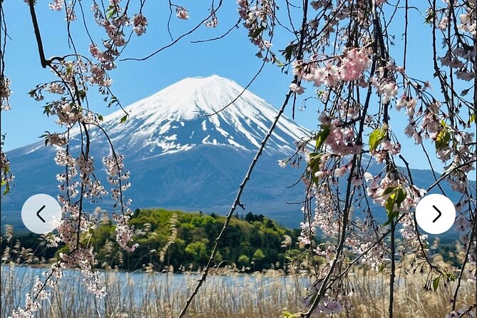 Mt. Fuji, Hakone Full-Day Private Tour With English Driver Guide - Customer Reviews