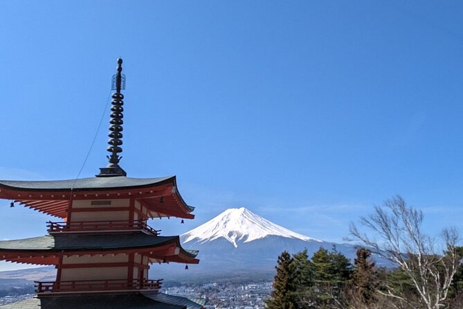 Mt. Fuji and Lake Kawaguchi Day Trip With English Speaking Driver - Customer Feedback