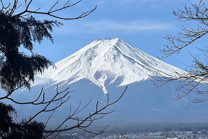 Mt. Fuji and Lake Kawaguchi Day Trip With English Speaking Driver - Final Thoughts