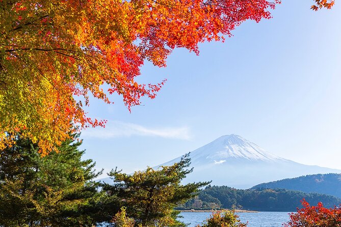 Private Mount Fuji and Hakone City Tour From Tokyo - Pickup Information