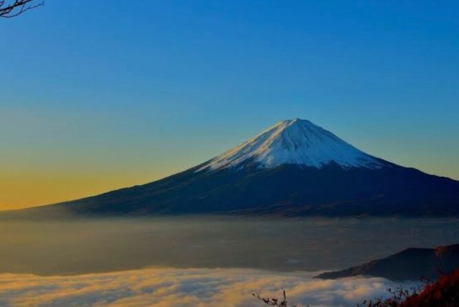 Private Mount Fuji and Hakone City Tour From Tokyo - Operating Hours and Additional Info