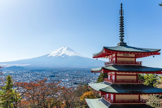 Private Mount Fuji and Hakone City Tour From Tokyo - Price and Reviews