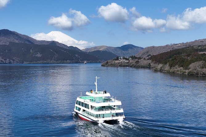 Mt. Fuji & Hakone Bullet Train 1 Day Tour From Tokyo Station Area - Customer Reviews