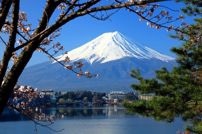 Mt.Fuji, Oishi Park & Arakurayama Sengen Park Bus Tour From Tokyo - Just The Basics