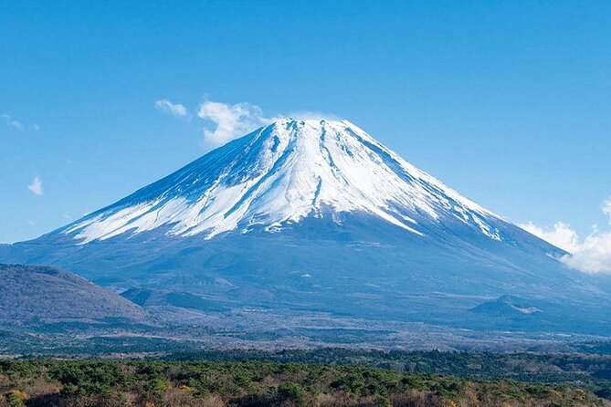 Mt.Fuji, Oishi Park & Arakurayama Sengen Park Bus Tour From Tokyo - Tour Inclusions