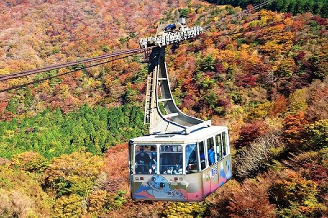 Mt Fuji, Hakone, Lake Ashi Cruise 1 Day Bus Trip From Tokyo - Last Words