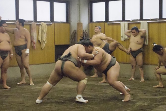 Tokyo Sumo Morning Practice Tour at Stable - Meeting and Pickup