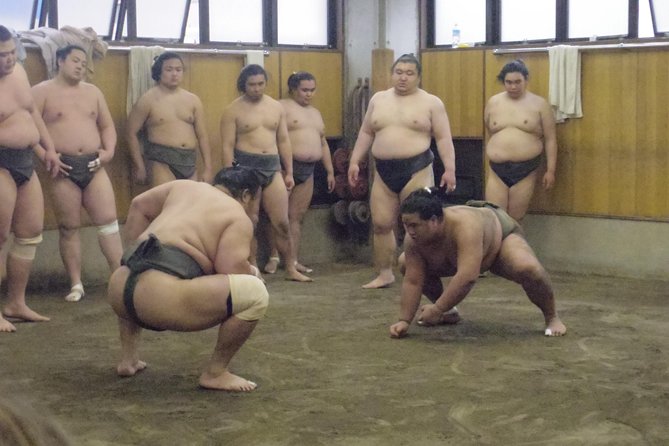 Tokyo Sumo Morning Practice Tour at Stable - Reviews