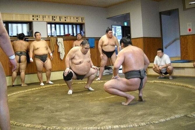 Sumo Morning Practice Tour in Tokyo, Sumida City - Meeting & Pickup