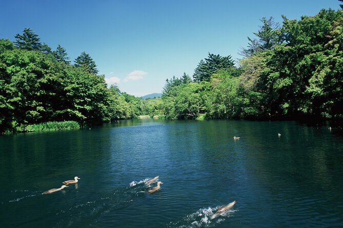 Self Guided Tour in Karuizawa With Bullet Train Ticket - Ensuring a Smooth Travel Experience