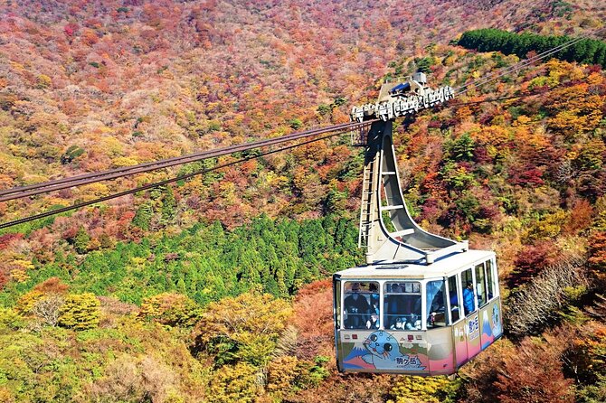 1 Day Private Tour in Hakone With Hakone Freepass & Train Ticket - Key Takeaways