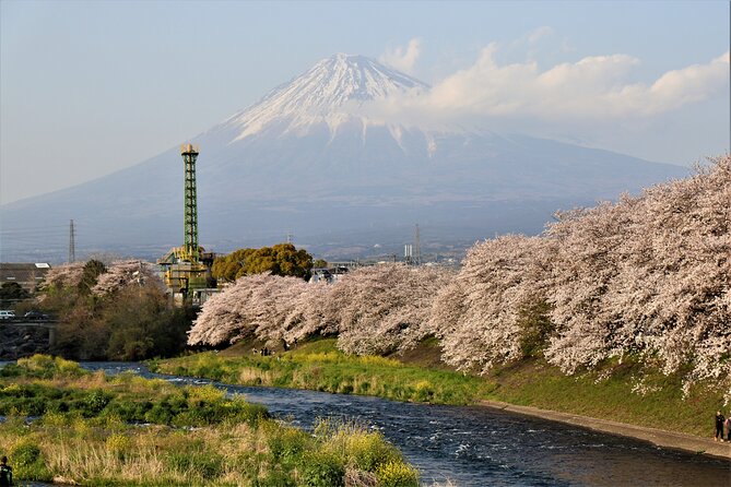 Private Car for Mt. Fuji 5th Station and More (Customizable) - Booking Information