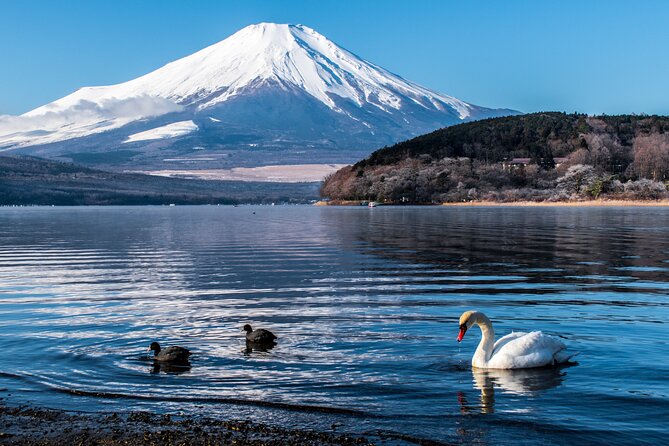 Private Car for Mt. Fuji 5th Station and More (Customizable) - Meeting and Pickup Details