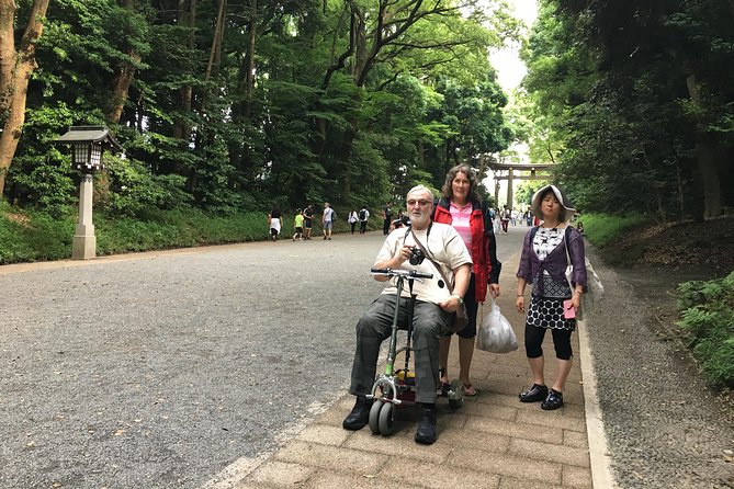 Full-Day Accessible Tour of Tokyo for Wheelchair Users - Pricing and Reviews