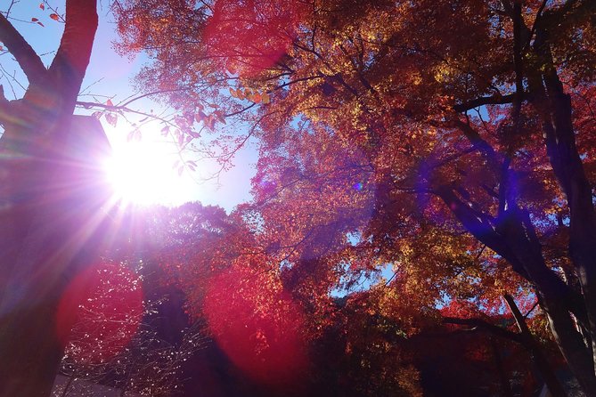 Full Day Hiking Tour at Mt.Takao Including Hot Spring - Itinerary Highlights