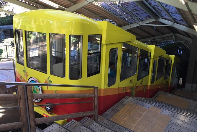 Full Day Hiking Tour at Mt.Takao Including Hot Spring - Booking and Cancellation Policy