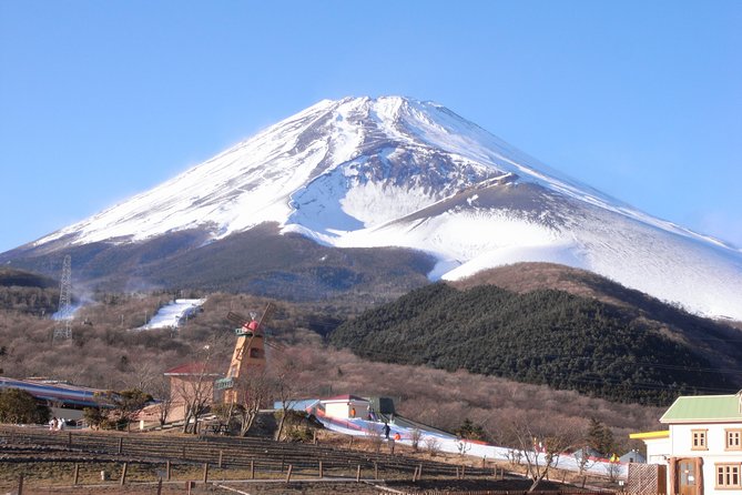 1 Day Family Fun at Fuji Private Tour - Itinerary Highlights