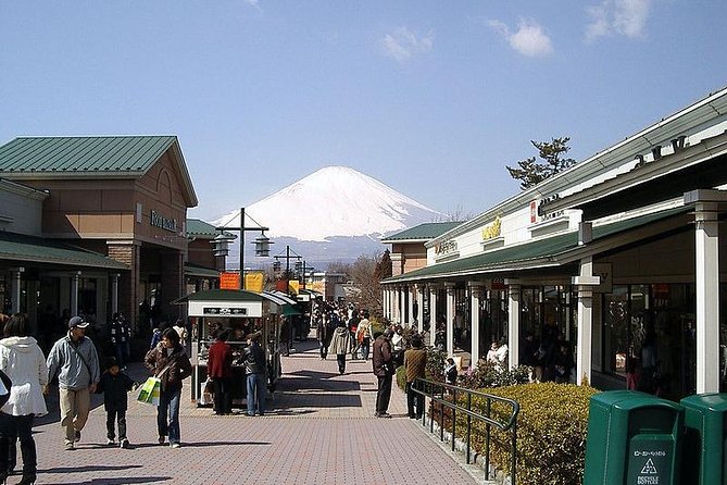 1 Day Family Fun at Fuji Private Tour - Important Reminders