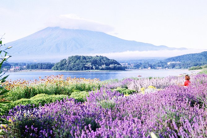 Barrier-Free Private Mt. Fuji Tour for Wheelchair Users - Price and Booking