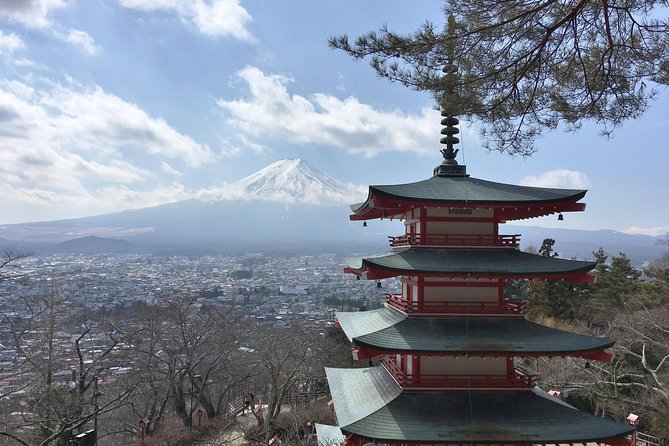 Private Full Day Mount Fuji Tour From Tokyo Including 3 View Spots - Conclusion