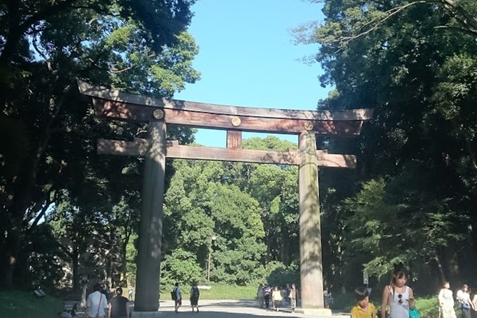 Tokyo Highlights, High Rise Observatory, Meiji Shrine, Imperial Palace Garden - Price and Booking Information