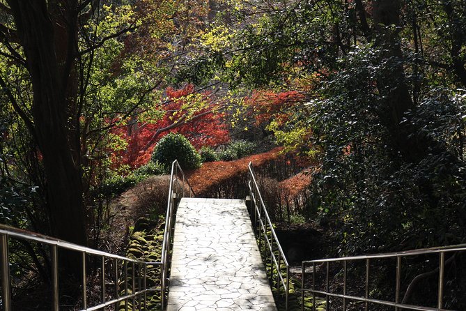 One Day Hike, Thrilling Mt. Nokogiri & Giant Buddha - Conclusion