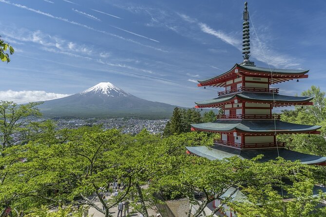 Private Mount Fuji Tour - up to 9 Travelers - Specific Stops With Fees