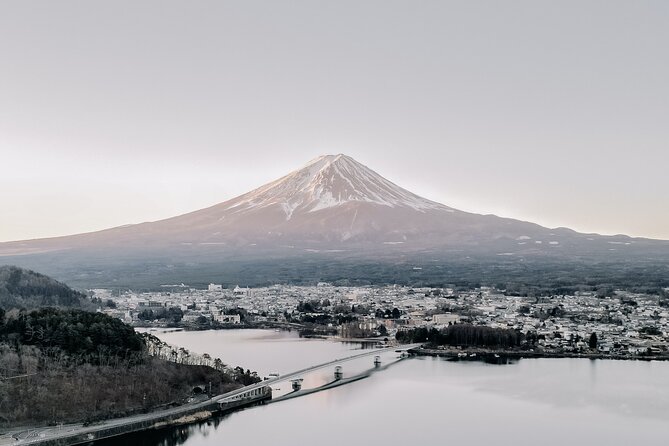 Private Mt Fuji, Hakone and Tokyo Tour-English Speaking Chauffeur - Chauffeur Services