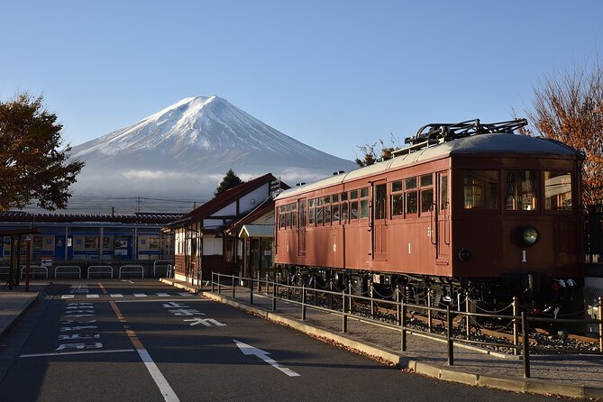 Private Mt Fuji, Hakone and Tokyo Tour-English Speaking Chauffeur - Pricing Information