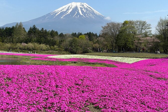 Shuttle Van Tour Mt.Fuji From Tokyo and Yokohama - Conclusion