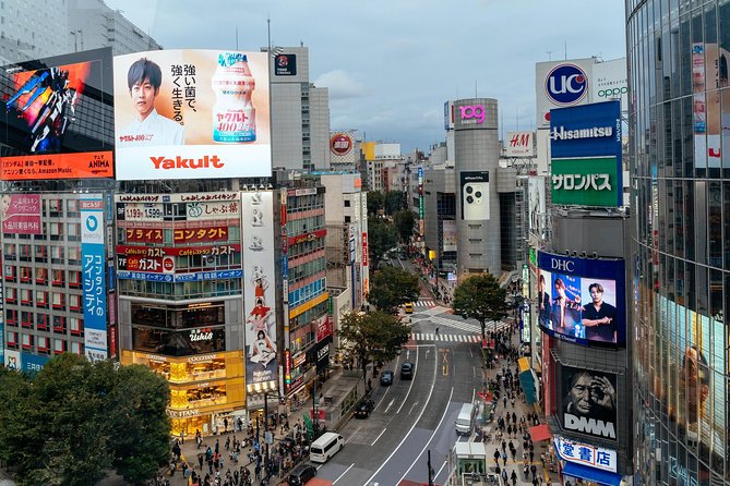 Highlights & Hidden Gems of the Shibuya District Private Tour - Shibuya Crossing Experience