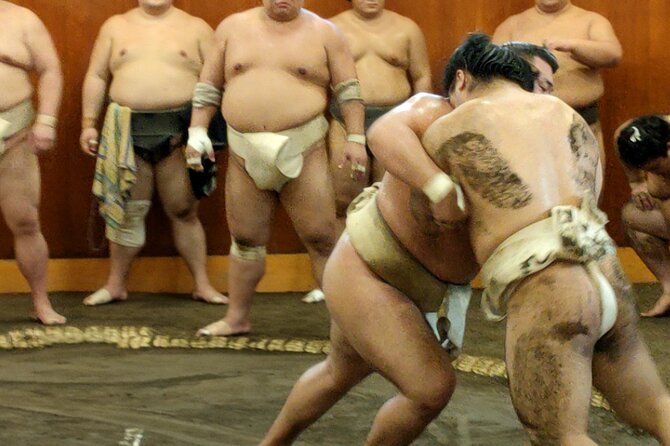 Watch Sumo Training in Sumo Stable - Key Takeaways