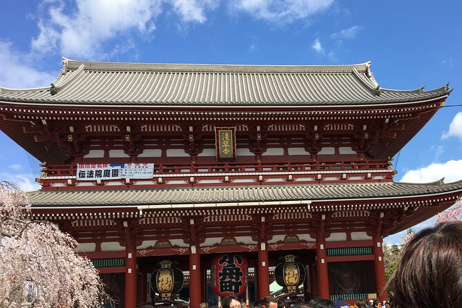 6-Hour-Tour Tokyo Highlights - Wrap-Up and Final Impressions