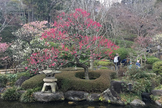 Kamakura Flower Tour - Flower Viewing Locations